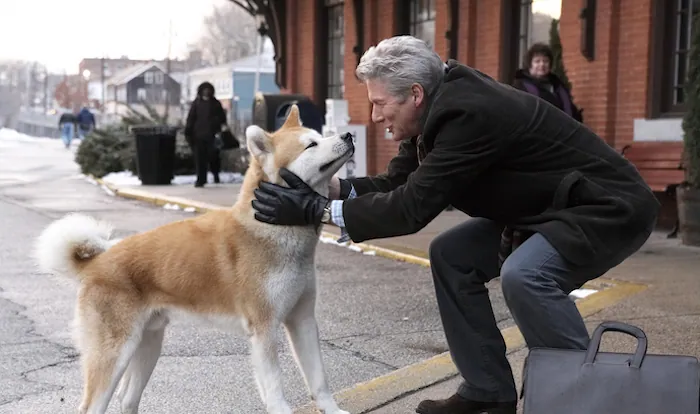 Is Hachi: A Dog’s Tale on Netflix?